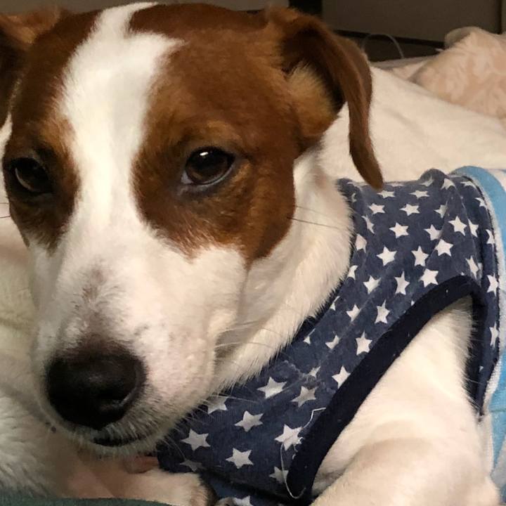 481c745f 8ab5 4347 9662 50e6a2a3a428 1539770336335