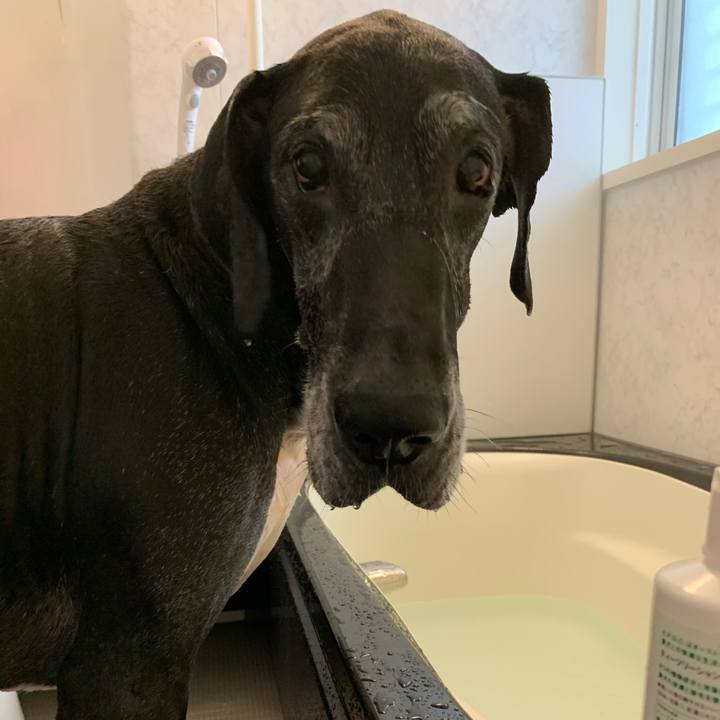 481c773a 30c8 4ec5 9ee5 2ee60a80c8a3 1581725914055