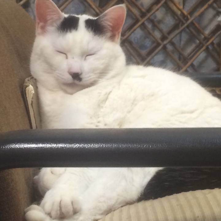 481c8844 877a 473b 81a8 78c54ffb8572 1551457453280