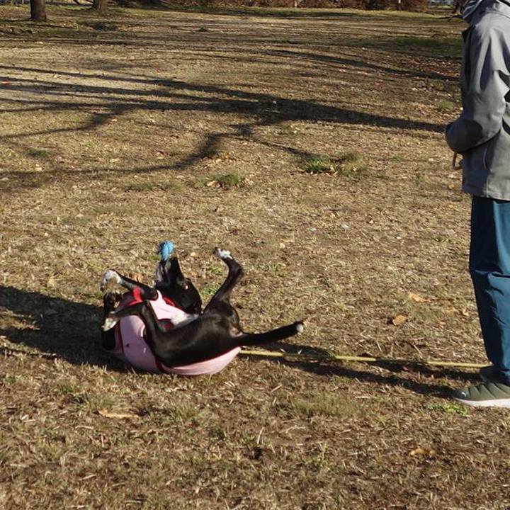 481c9b53 b7da 4e50 ba29 e9b6e9c81b73 1675646945913