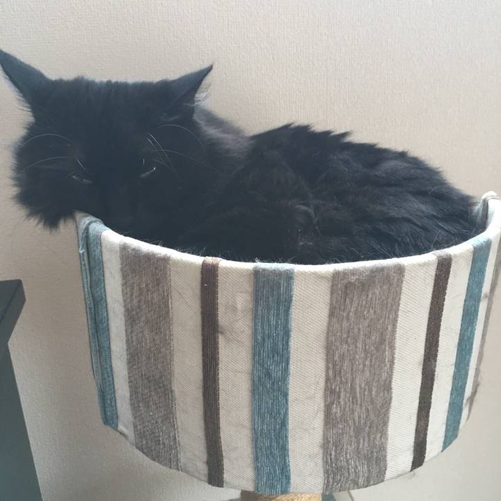 481c9d46 bfc4 461f a4c8 de90888baae5 1529722791579