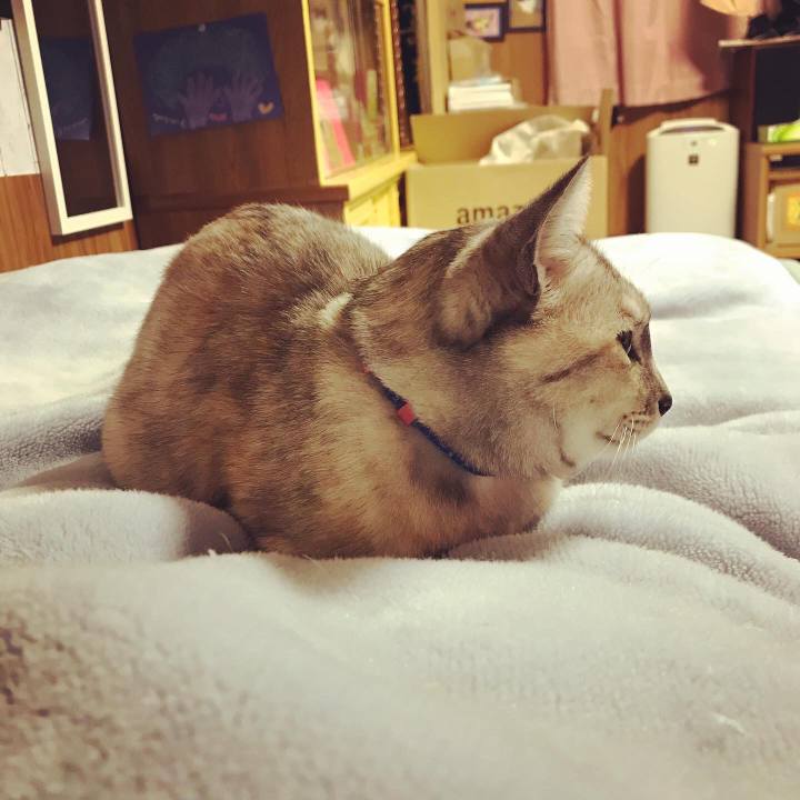 481cafbc 86bc 4a29 b8a6 4561312ba1b7 1578235690292