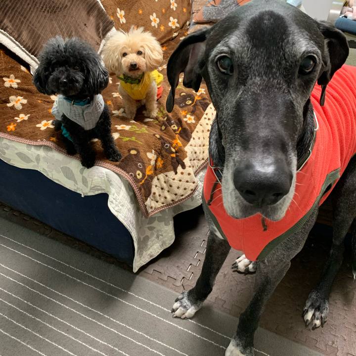 481ce8d3 26c9 483b ab76 0f8a2f34e95b 1610923257493