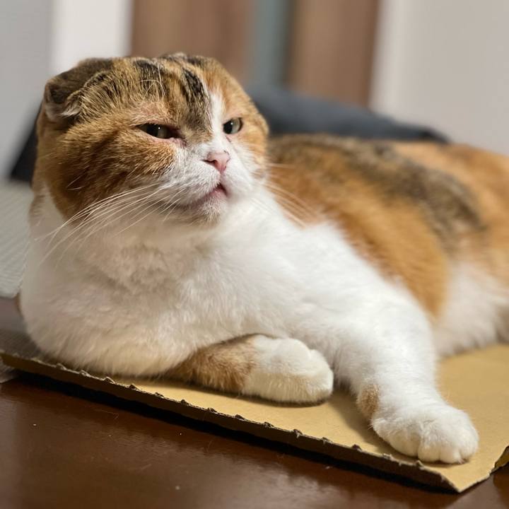 481d5f0f 113f 45ff 8c78 dffdb9fc6e24 1687007857155