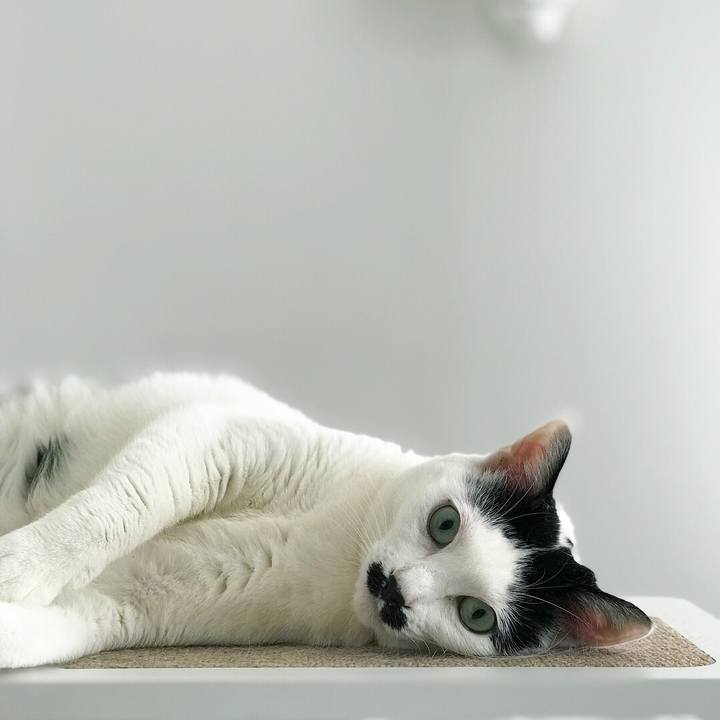 481d6630 9724 4fb3 96f3 f22268acdc1e 1525496520331