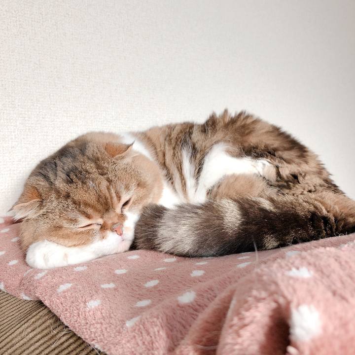 481d7d73 96f0 4537 b0c4 4814e4d2416b 1556007124631