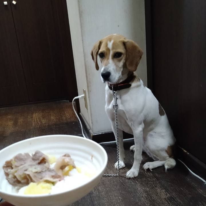 481d9ab9 ef4c 4638 a402 120658a30e7c 1623926221260