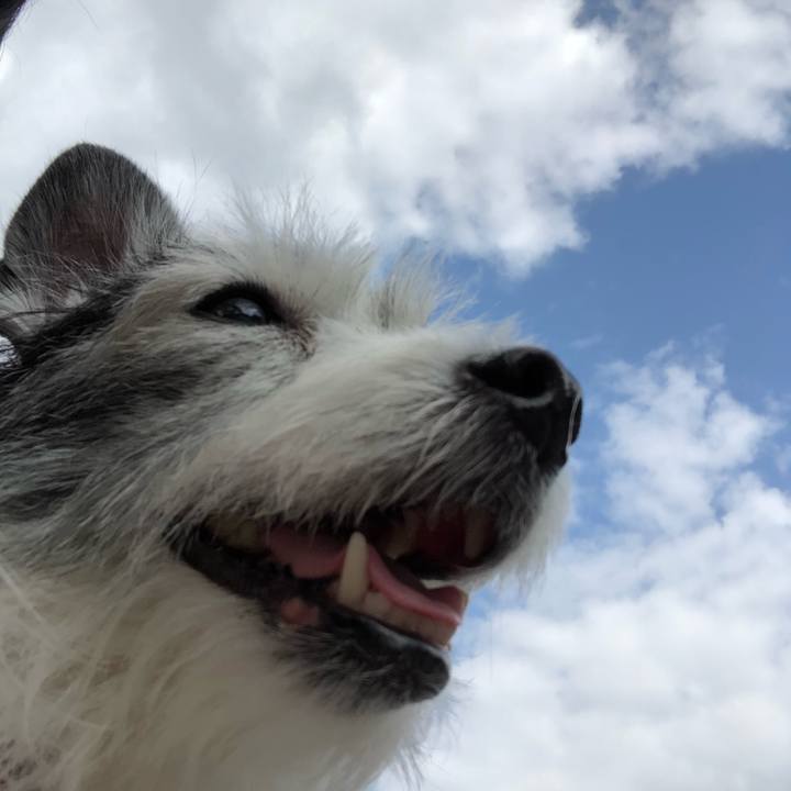 481d9cdd dad1 41f3 95fe 0a36d2d27f0a 1558277001079