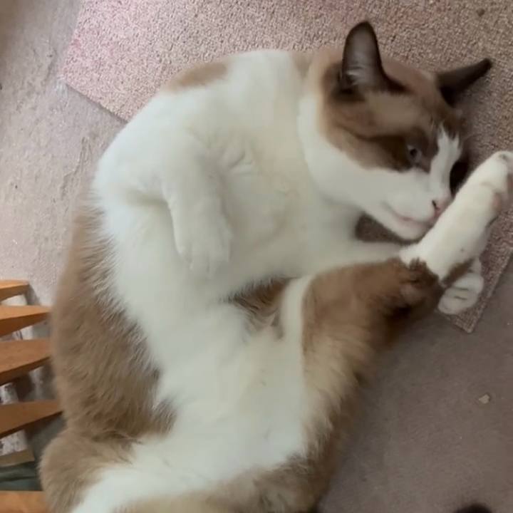 481de912 d708 4192 be84 168187ef5792 1761360870593