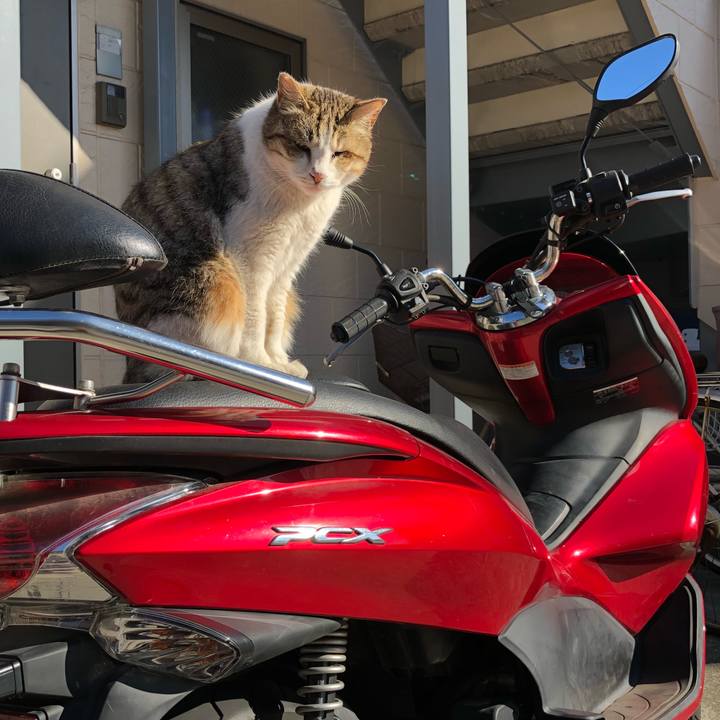 481df477 a866 4197 8491 e387b1083cd8 1519977493016