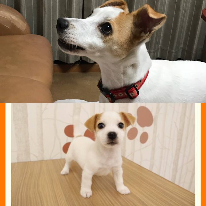 481dfd34 87ff 4da3 8dda 3941e9a5dcba 1572782447186