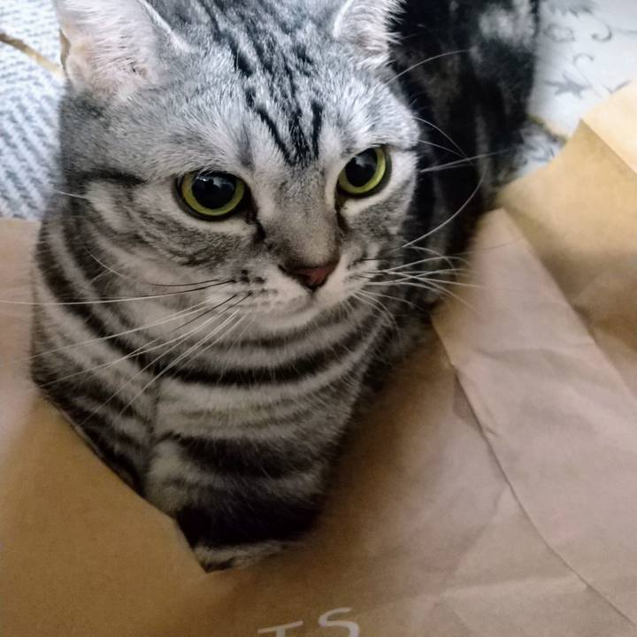 481e1df3 ee30 470c ae62 43f3eb72a06a 1681945579004