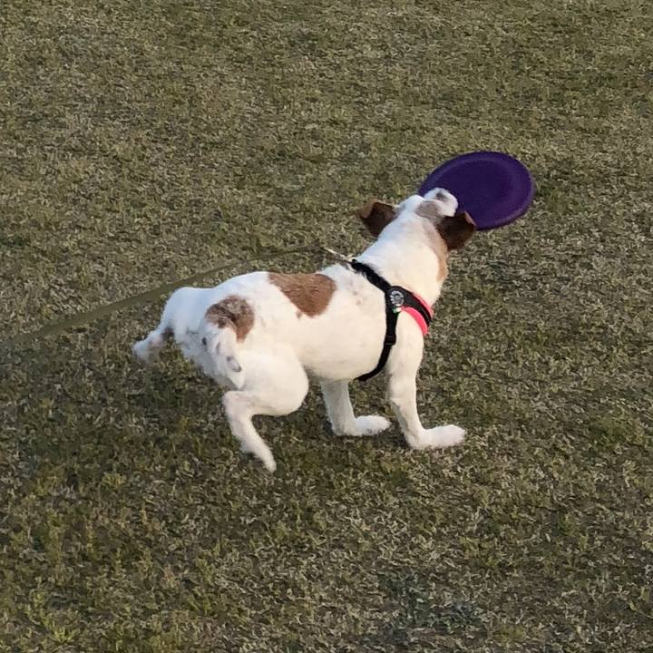 481e2262 6e30 4c11 b68a f4ae769e7dc1 1522500100641