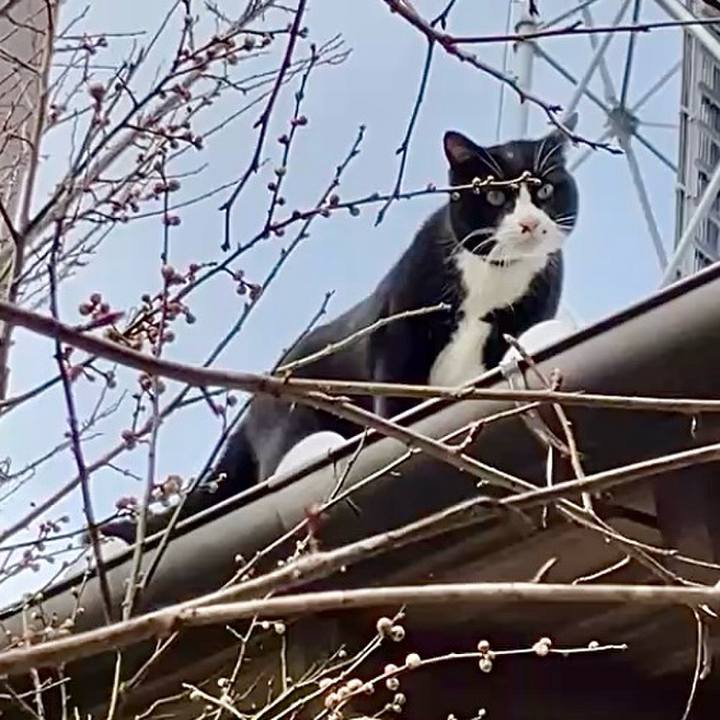 481e2c51 f5e0 4491 8480 758f6e65908c 1738203159646