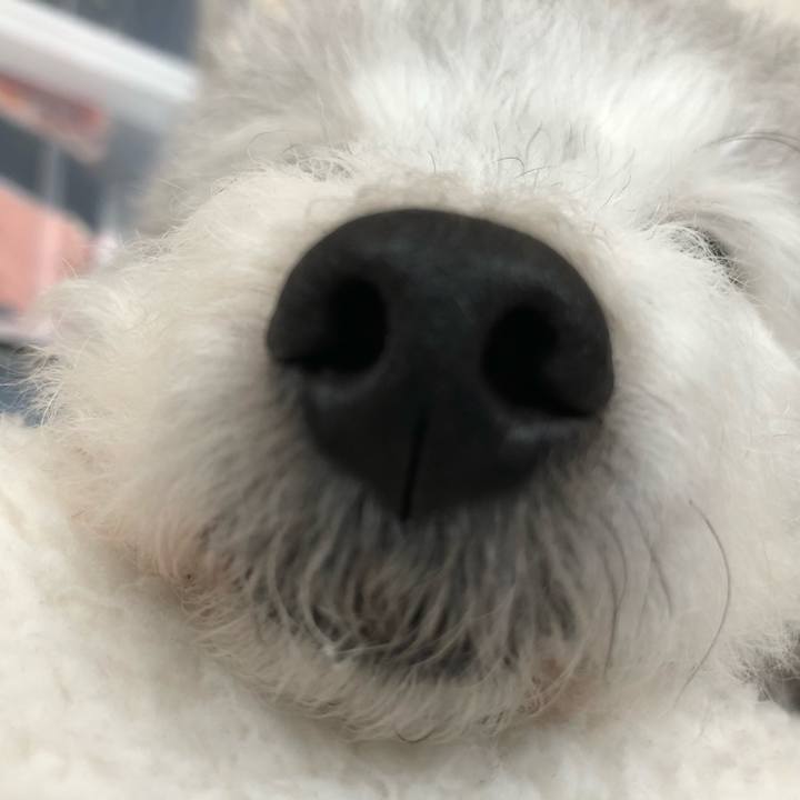 481e31ca 2183 4b2f b827 a54cb7add2ac 1592111877014