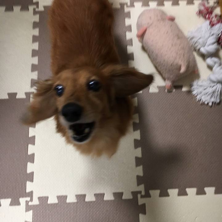 481e405a 05a3 43c9 8b5b 41d1634a6334 1566917025714