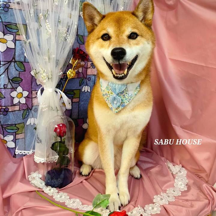 481e4156 7a79 4943 b36b 584449c773ab 1662550655293