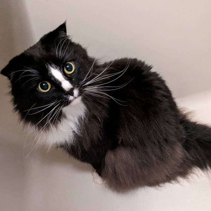 481e5d33 1c71 447b 84fe e7bc9ec6283f 1704948764111