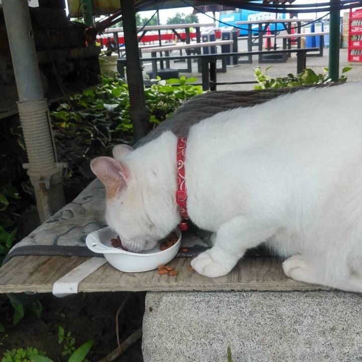 481e883a 03b4 47f3 99c3 dba733f7d417 1593474267433