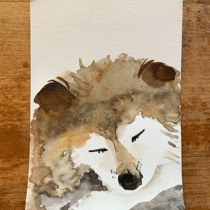 481e9657 b9b0 4a21 b1b6 e0e93f8596e6 1605145442121