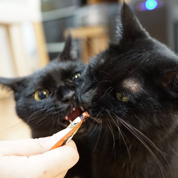 481ec332 9df1 40e0 8761 b43bda662ab5 1566047370279