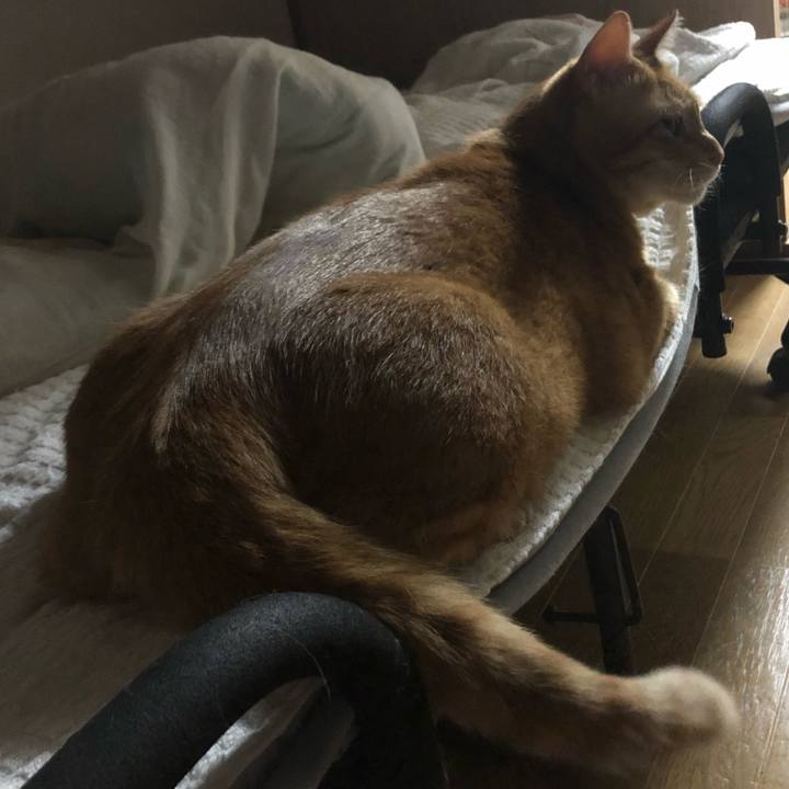 481f7174 10f6 4bb9 98c9 ca405f988268 1598528893131