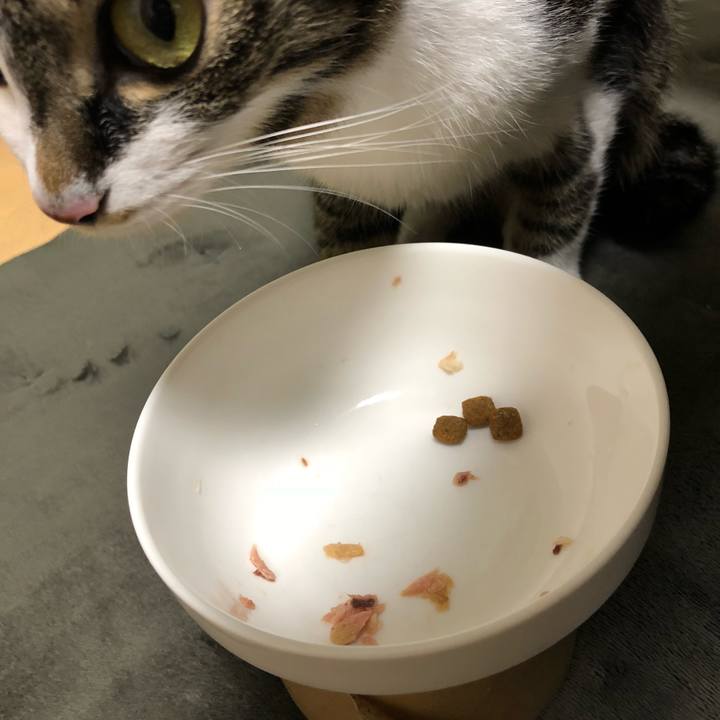 481f79ec 4046 43ec a8c9 2cba190bcdcc 1516107315683