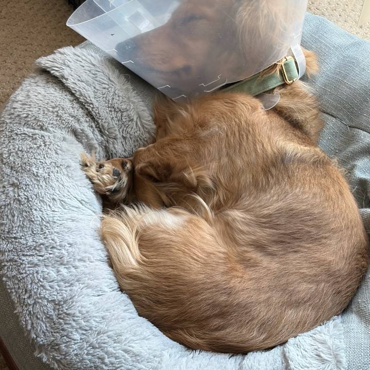 481f90a2 112e 4491 8642 d820698aa5cb 1771999527596