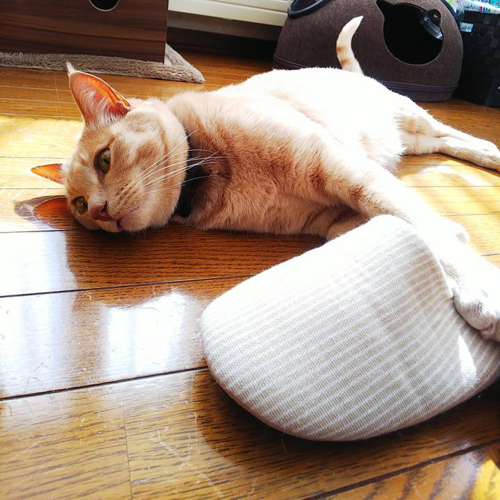 481f9e0c c5eb 4a7d 9521 06d08fdf8544 1614476213857