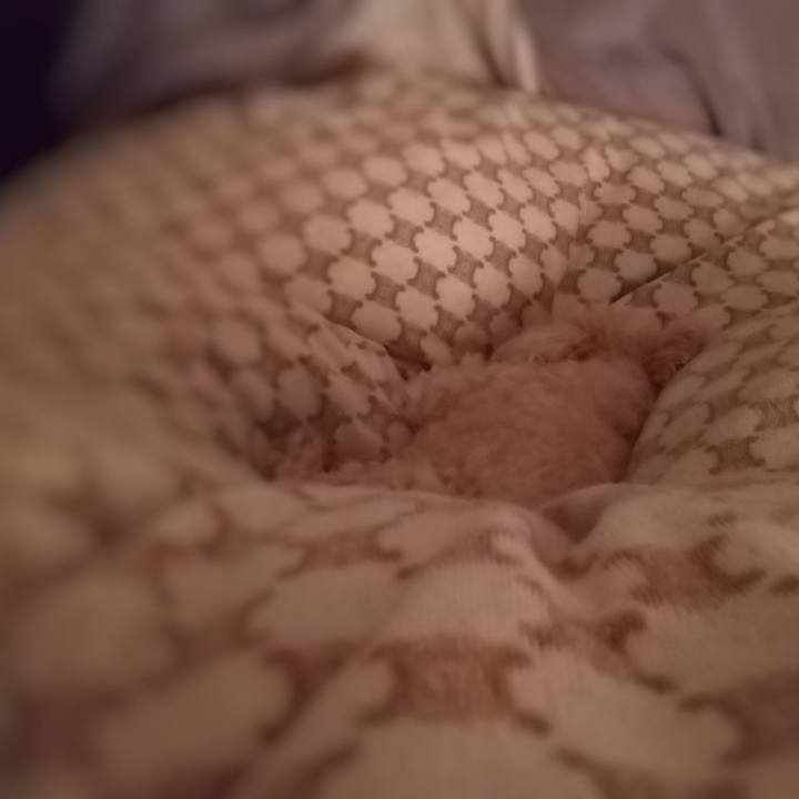 481fa27b 4cb2 4e1b ab2f fdf5f4672993 1619698143568