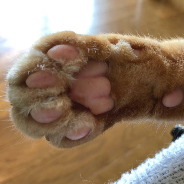 48200128 9730 4a78 9bcb ed202676b3c5 1626471005343