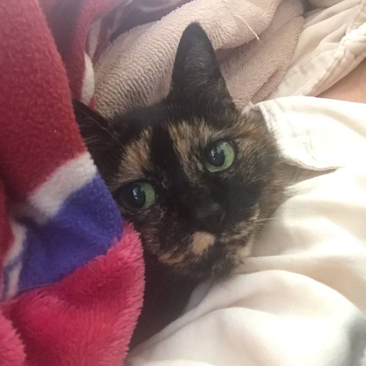 48207811 a38d 4bf0 9fad 852d5c9b8dc8 1555375861094