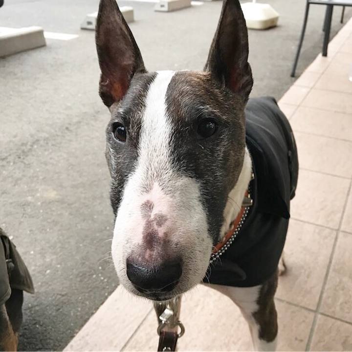 4820a682 4e51 48e1 8a10 4e6e2a9eb1fe 1519548286218