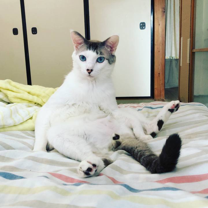 4820c645 3a13 4779 85f2 0774a2404495 1594968878345