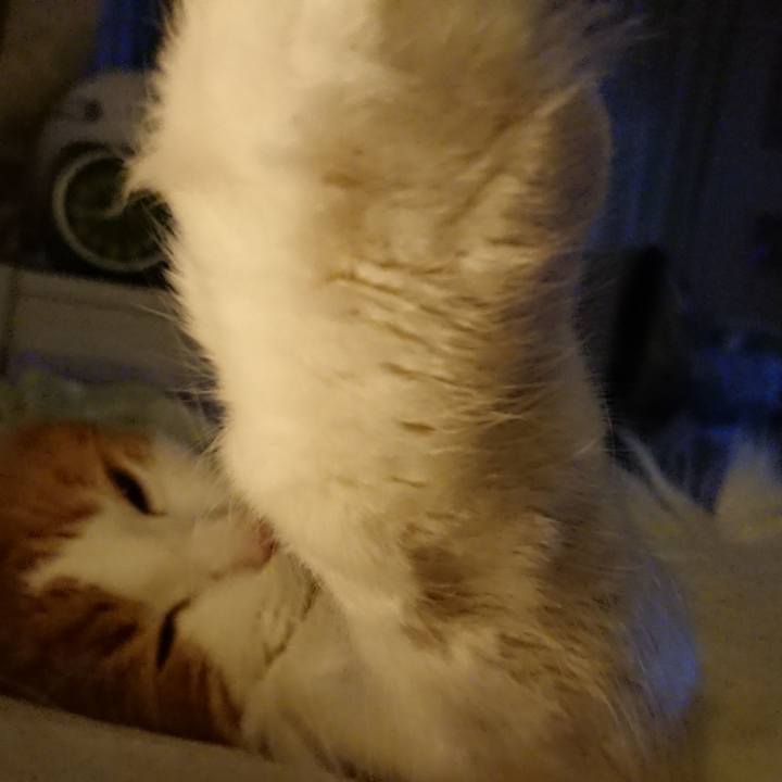 4820edbd 88d1 4779 b306 63c4e852772c 1555947664242