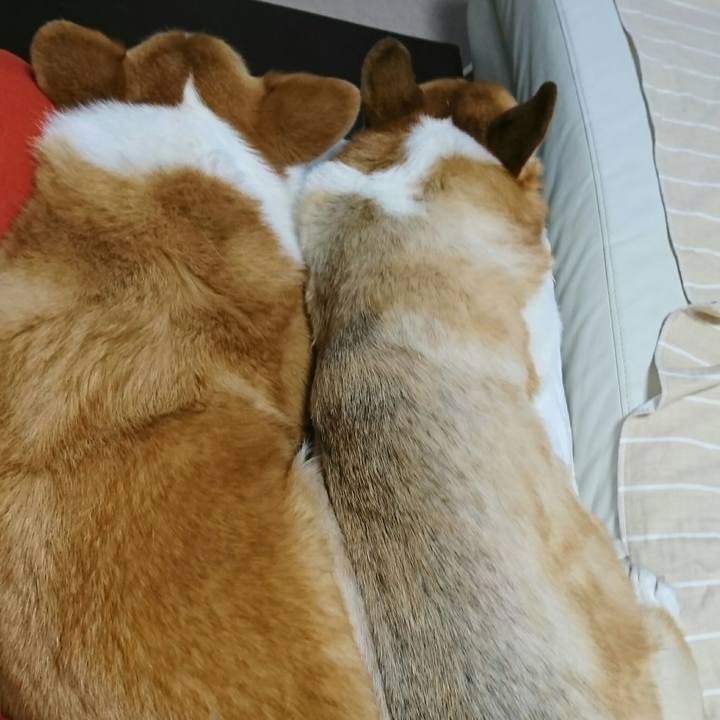 4820f95c 6897 4574 92a4 abfd8941bfdf 1534593249417