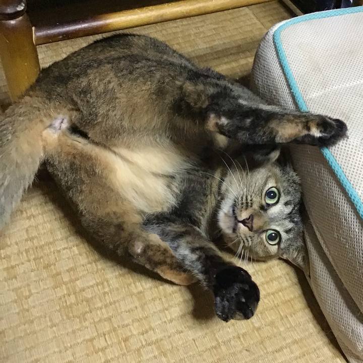 4820fb2b a7a7 4942 a227 a78db383510c 1663236592986