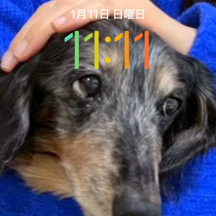 48211115 e22e 4fce 82e5 3e87ba399c21 1768097681530