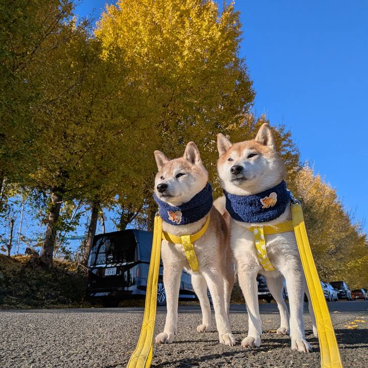 482127c6 24ec 48ab 9c30 49b19cc48776 1765073882121