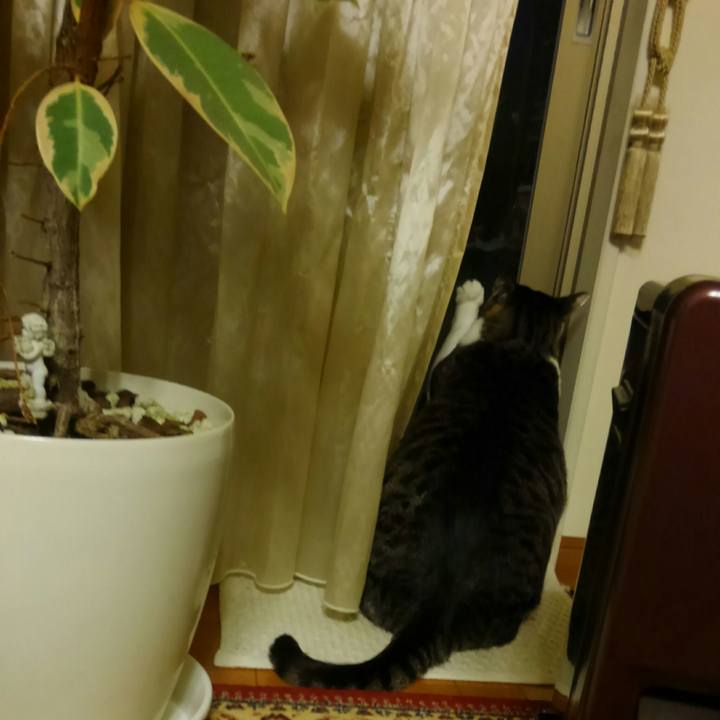 48217e30 9fc8 4e6a a4af d6cbf569f990 1512816131145