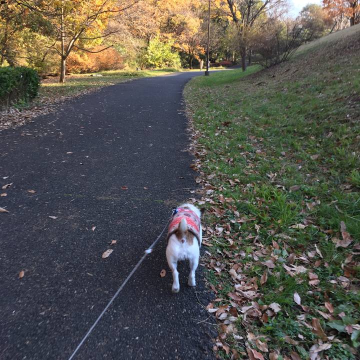 48219673 29be 4ffe 8f35 2958a6950a9a 1638745427137