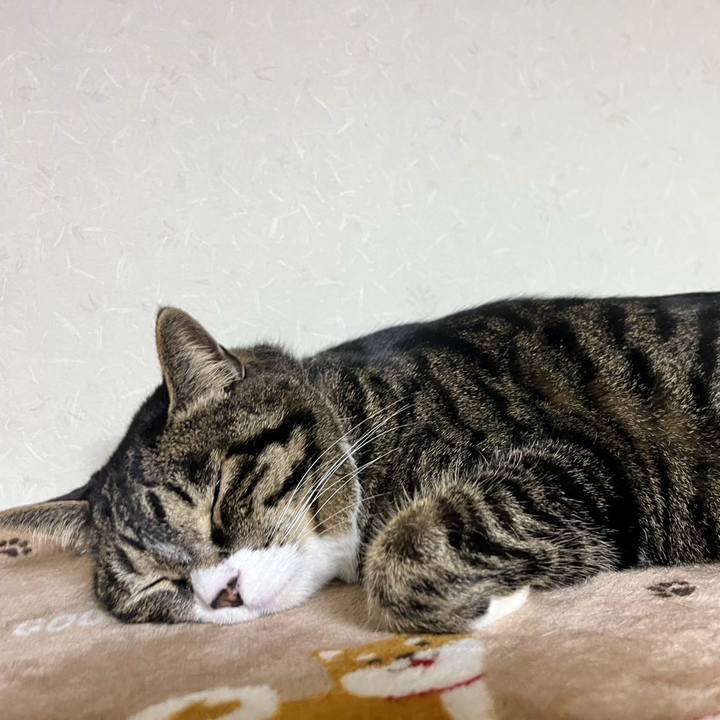 48219b34 7144 44eb b0fa 50dd96ff9f01 1775262835344