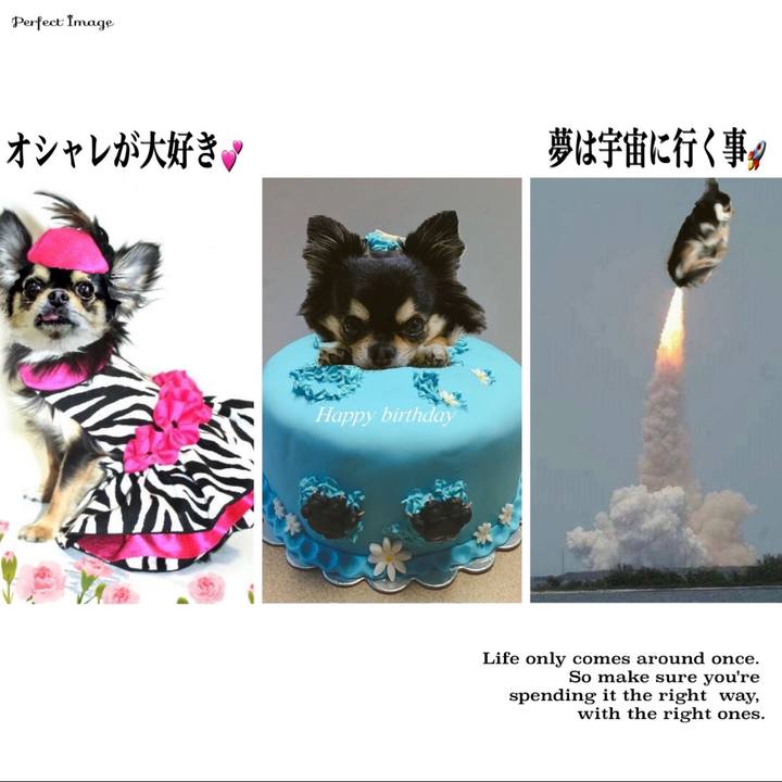 4822284a dbb4 4fc9 a8da 9ed473f62b12 1654890990809