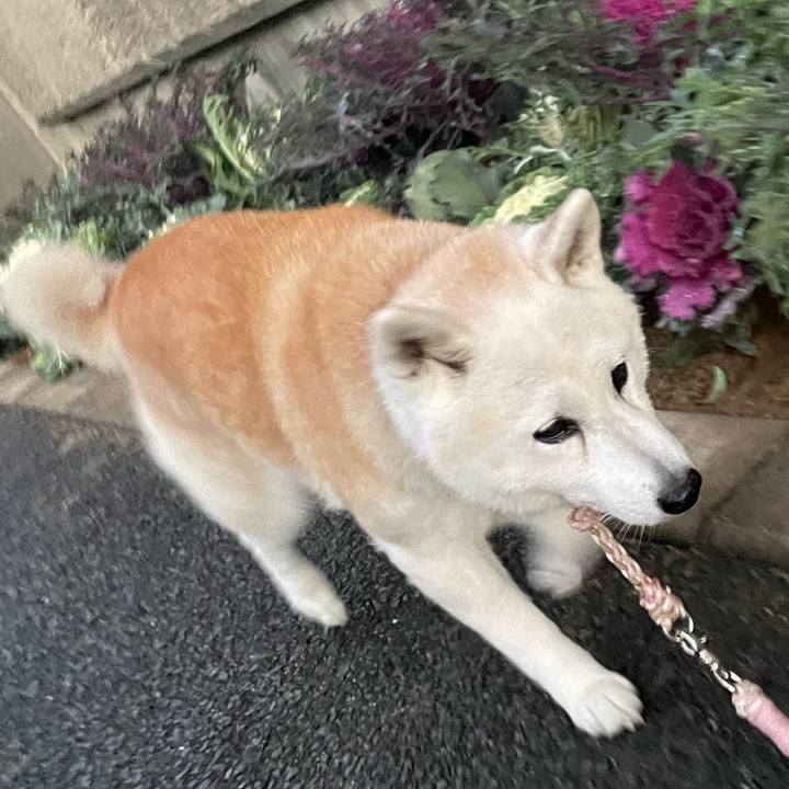 4822aca2 099c 4fa9 8a4d cc85b287402f 1702469533489