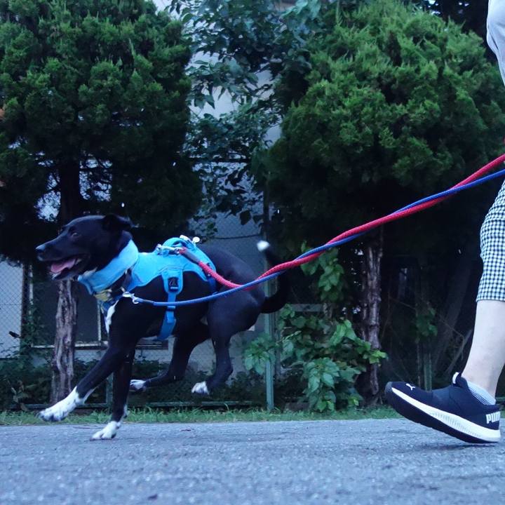 4822c426 1d39 49c2 9643 7d868f5d1a04 1628333864530