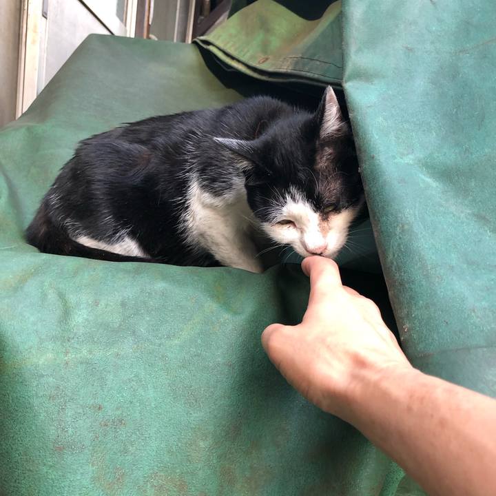 4822c9b3 bb43 455e 9921 fe2b0e4485e8 1560856600857