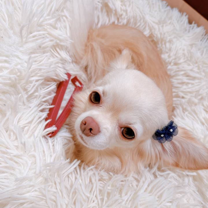 4822dc46 e9ca 47ec b2a3 117ec0035248 1668846218693