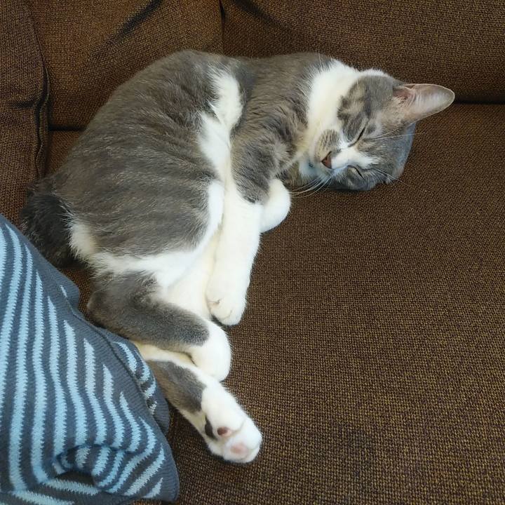 4822dcef 149f 4b43 a6de 9967eaf01a09 1591940680614