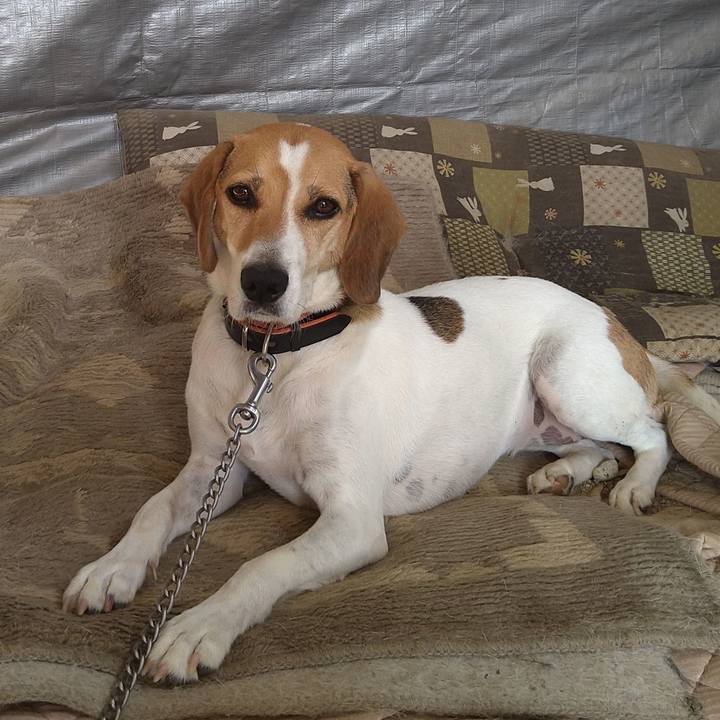 482318e5 7ecb 49dd 8504 9a81ae5bec40 1629883975505