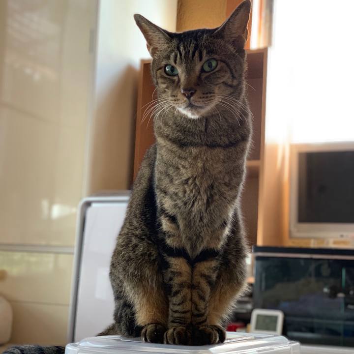 48233149 b1f5 4078 8db3 b478c8842e2d 1539737515286